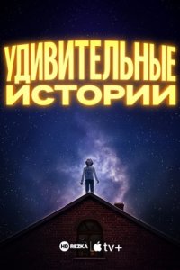 Удивительные истории