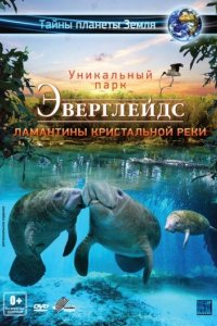 Эверглейдс 3D: Ламантины Кристальной реки