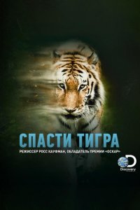 Animal Planet: Спасти тигра