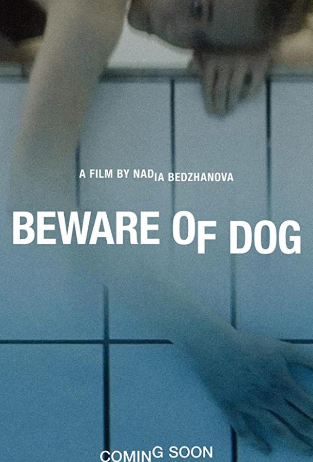 Beware of Dog